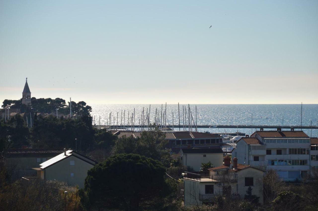Apartments Grgic Novigrad  Zewnętrze zdjęcie